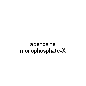 adenosine monophosphate-X